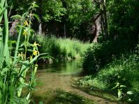 Die Heder in Salzkotten-Upsprunge © Touristikzentrale Paderborner Land